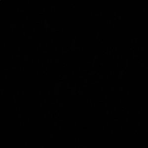 Meet your Posher, Miriam